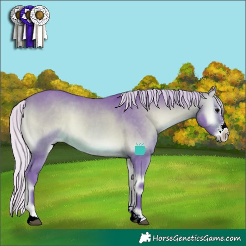 Horse Color:Watercolor Silver Brown Onyx Sabino