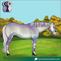 Horse Color:Watercolor Silver Brown Onyx Sabino