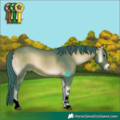 Horse Color:Watercolor Brown Onyx Tobiano