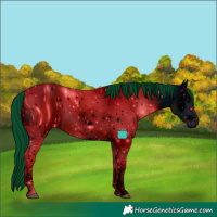Horse Color:ERROR: UNKNOWN ANOMALY