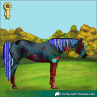 Horse Color:ERROR: UNKNOWN ANOMALY
