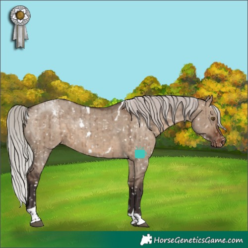 Horse Color:White Spotted Silver Brown Dun Tobiano Appaloosa Rabicano Brindle 