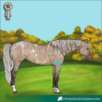 Horse Color:White Spotted Silver Brown Dun Tobiano Snowflake VarnishRabicano Brindle