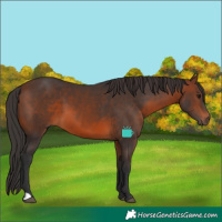 Horse Color:Brown 