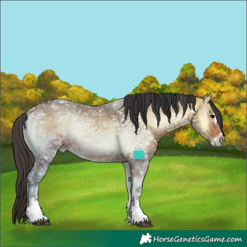 Horse Color:Bay Ice Onyx Sabino Rabicano