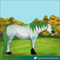 Horse Color:Watercolor Bay Ice Onyx Sabino Rabicano
