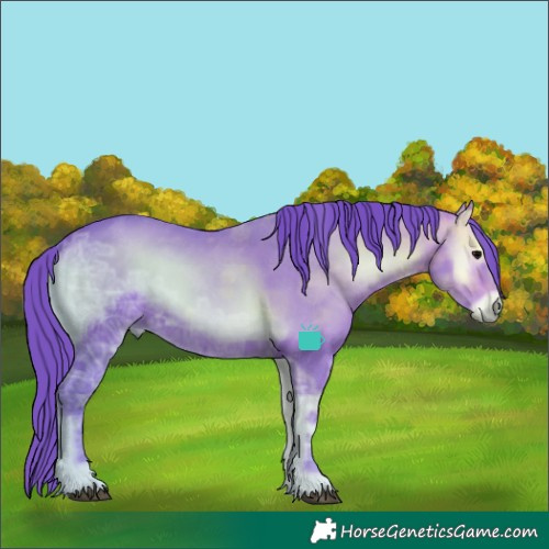 Horse Color:Watercolor Bay Ice Onyx Rabicano