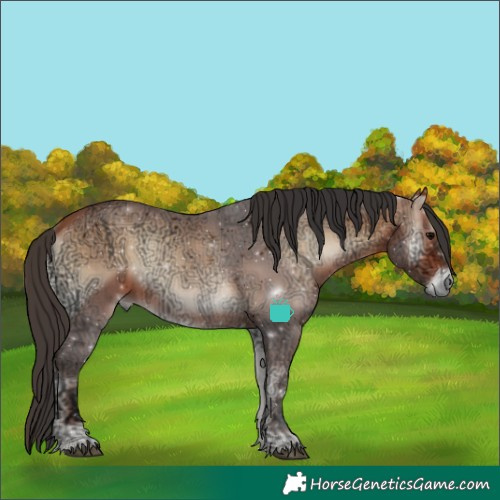 Horse Color:Bay Ice Onyx Rabicano 