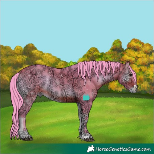 Horse Color:Watercolor Bay Ice Onyx Sabino Rabicano