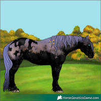 Horse Color:Void Watercolor Liver Chestnut Sabino Splash Blanket