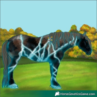 Horse Color:Void Thunderstruck Liver Chestnut Sabino Splash Varnish 
