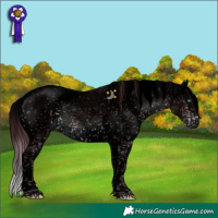 Horse Color:Void Platinum Chocolate Brown Sabino Splash