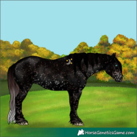 Horse Color:Void Platinum Chocolate Brown Sabino Splash