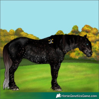 Horse Color:Void Platinum Chocolate Brown Sabino Splash 