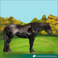 Horse Color:Void Platinum Liver Chestnut Sabino Splash Tobiano 