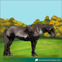 Horse Color:Void Platinum Liver Chestnut Sabino Splash Tobiano 