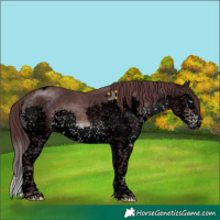 Horse Color:Void Platinum Chocolate Brown Sabino Splash Tobiano
