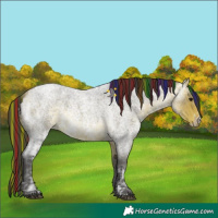 Horse Color:Painted Buckskin Ice Roan Sabino