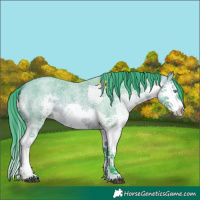 Horse Color:Watercolor Bay Roan Sabino Splash