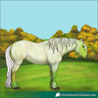 Horse Color:Watercolor Silver Bay Roan