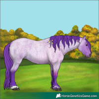 Horse Color:Watercolor Bay Roan