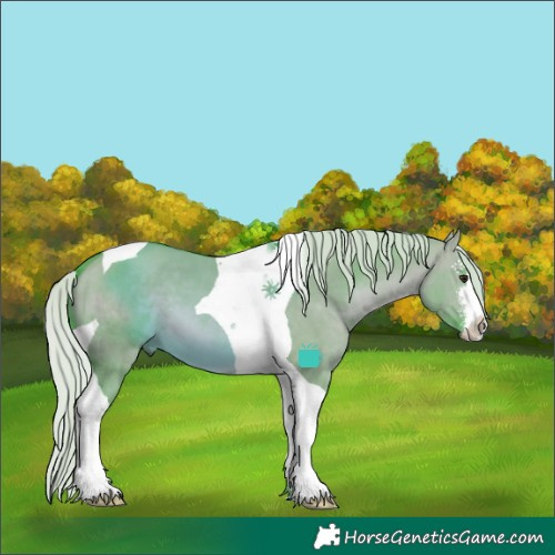 Horse Color:Watercolor White Spotted Silver Brown Dun Tobiano