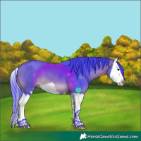 Horse Color:Watercolor White Spotted Bay Splash