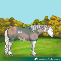 Horse Color:Watercolor White Spotted Silver Brown Splash 