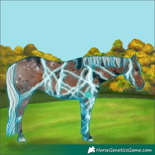 Horse Color:Void Thunderstruck White Spotted Silver Brown