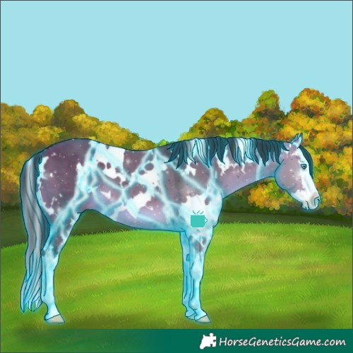 Horse Color:Thunderstruck White Spotted Bay Dun Splash 