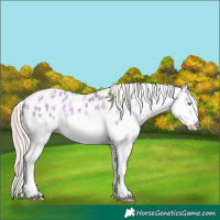 Horse Color:Watercolor White Spotted Silver Smoky Grullo Ice Onyx Splash Tobiano Leopard 