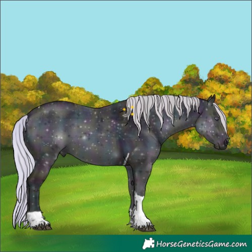 Horse Color:Plaid Midnight Chocolate Silver Brown Chinchilla Ice Onyx Tobiano
