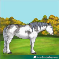 Horse Color:Watercolor White Spotted Midnight Brown Ice Onyx Splash