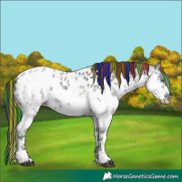 Horse Color:Painted White Spotted Midnight Blue Onyx Ice Roan Splash Near Leopard