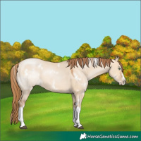 Horse Color:White Spotted Bay Pearl Dun Splash 