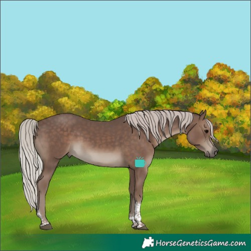Horse Color:Silver Black Tobiano 