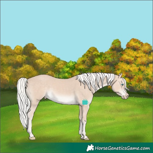 Horse Color:Silver Smoky Creme 