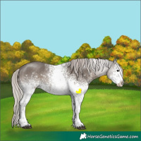 Horse Color:White Spotted Silver Black Sabino Varnish 