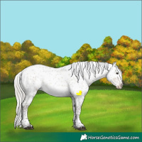Horse Color:Silver Brown Dun Sabino Appaloosa Rabicano