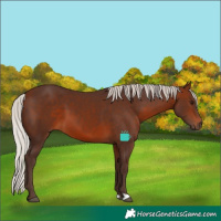 Horse Color:Silver Brown
