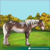 Horse Color:White Spotted Liver Chestnut Mushroom Sabino Blanket