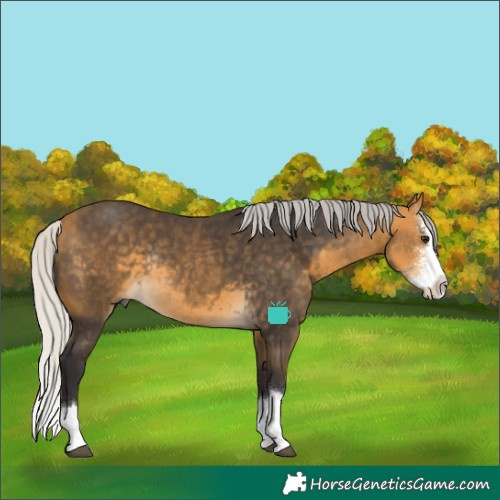 Horse Color:Silver Buckskin Sabino Splash Rabicano 