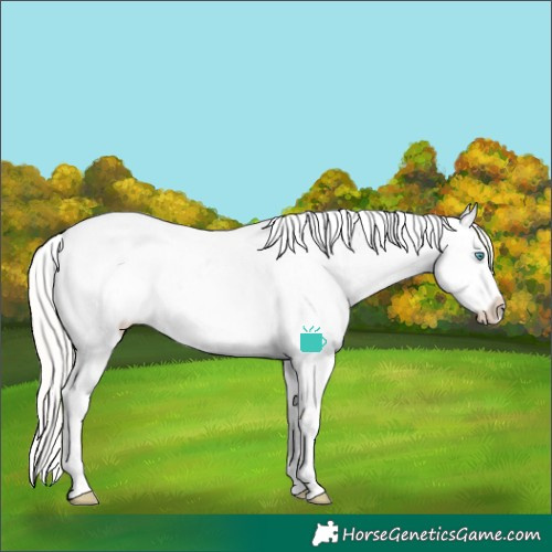 Horse Color:Silver Buckskin Pearl Dun Sabino Rabicano