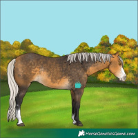 Horse Color:Silver Buckskin Sabino Rabicano 