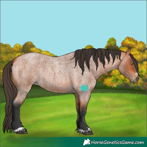Horse Color:Bay Roan Rabicano
