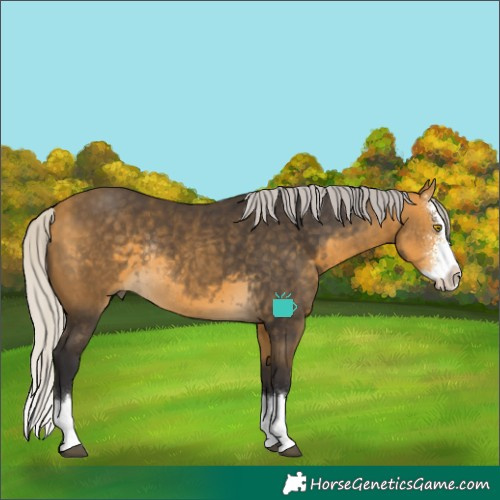 Horse Color:Silver Buckskin Sabino Splash Rabicano
