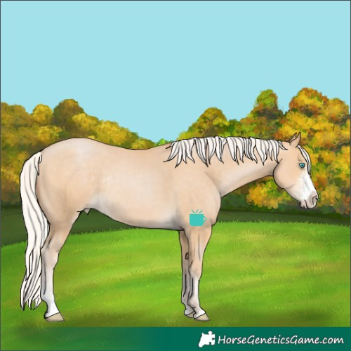 Horse Color:Silver Buckskin Pearl Sabino Rabicano 