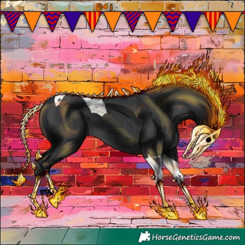 Horse Color:Black Tobiano