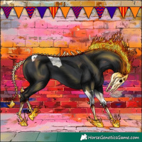 Horse Color:Black Tobiano 