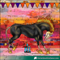 Horse Color:Black 